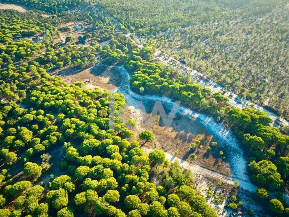 Terreno para Venda em Melides Foto 17