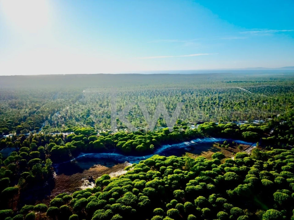 Terreno para Venda em Melides Foto 19