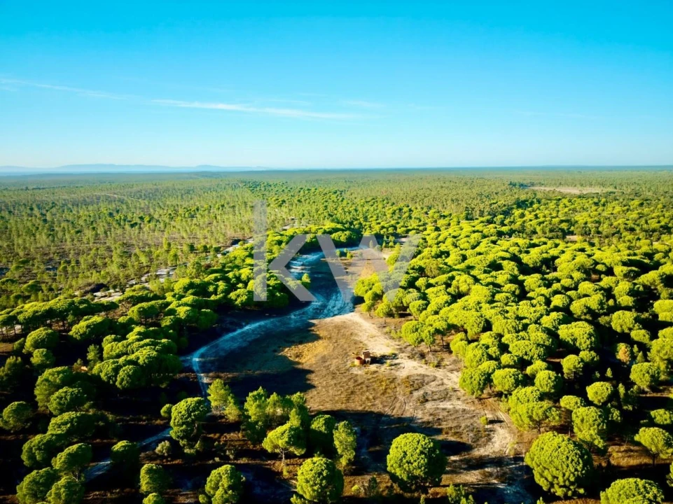 Terreno para Venda em Melides Foto 22