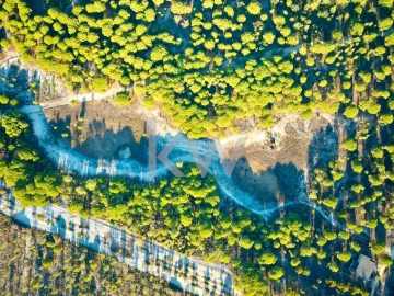 Terreno para Venda em Melides