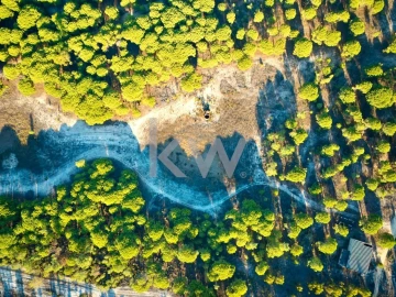 Terreno para Venda em Melides