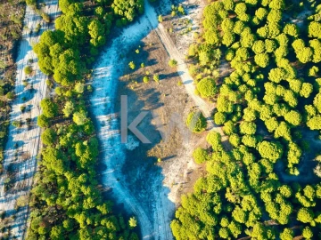 Terreno para Venda em Melides