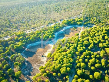 Terreno para Venda em Melides