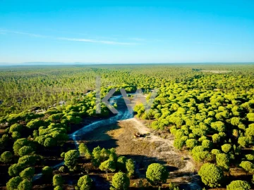 Terreno para Venda em Melides