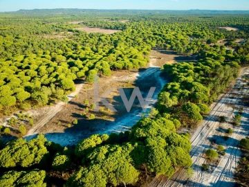 Terreno para Venda em Melides
