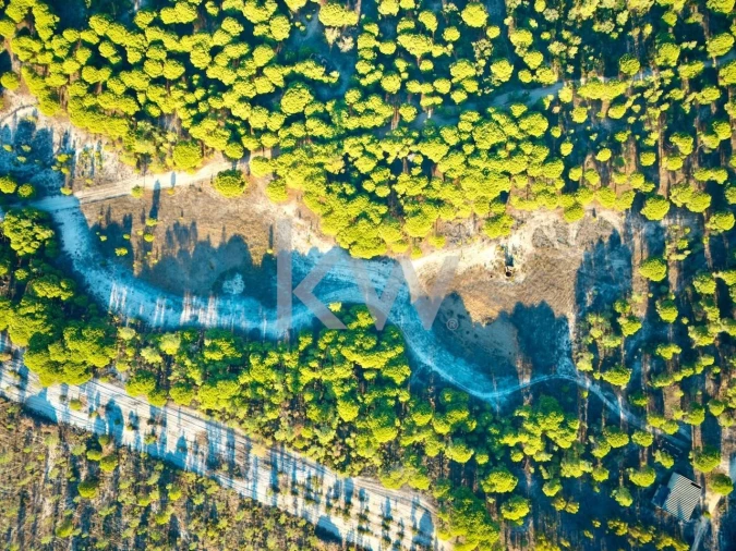 Terreno para Venda em Melides Foto 7