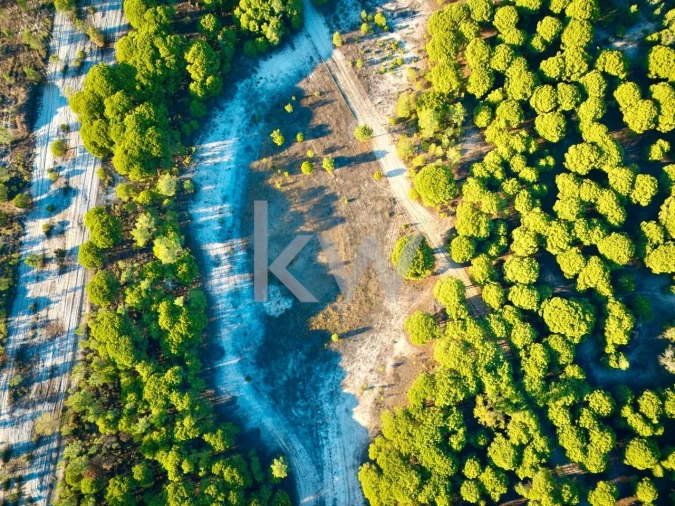 Terreno para Venda em Melides Foto 12