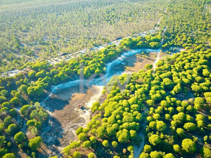 Terreno para Venda em Melides Foto 18