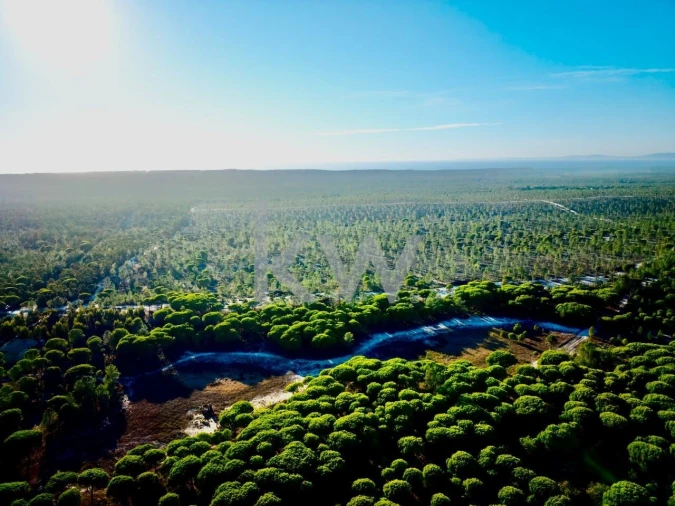 Terreno para Venda em Melides Foto 19