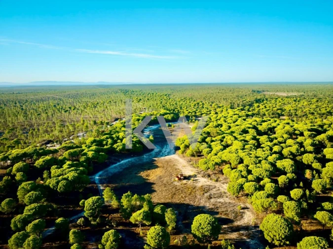 Terreno para Venda em Melides Foto 22