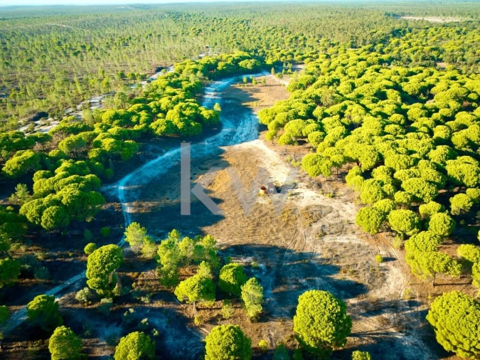 Terreno para Venda em Melides Foto 23