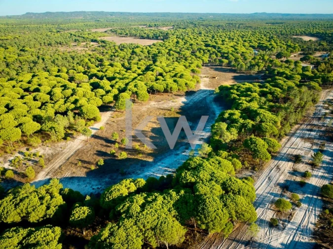 Terreno para Venda em Melides Foto 26