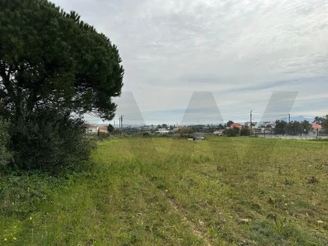 Terreno para Venda em São João das Lampas e Terrugem
