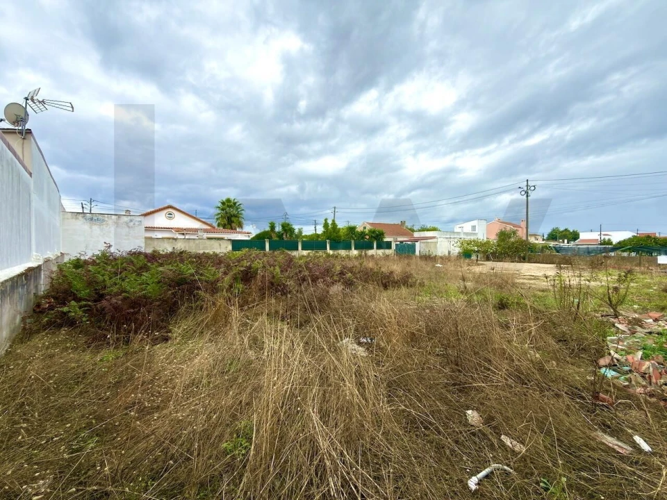 Terreno para Venda em Azeitão (São Lourenço e São Simão) Foto 6