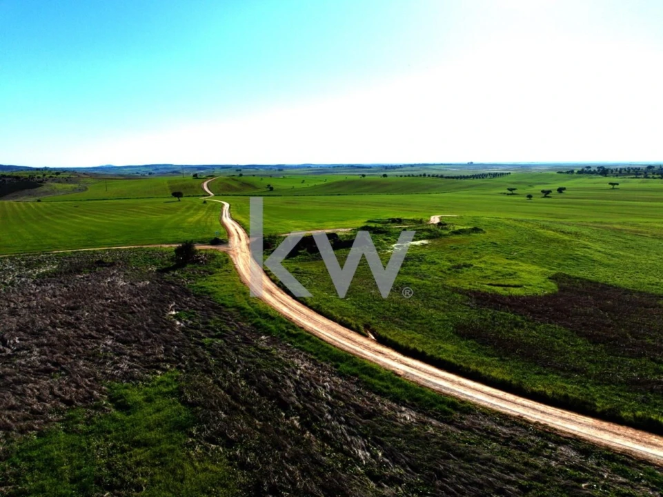 Terreno para Venda em Entradas Foto 21