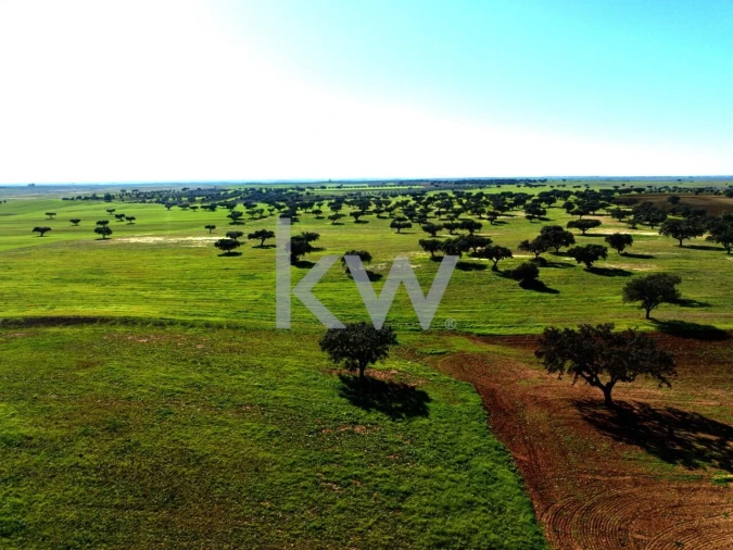 Terreno para Venda em Entradas Foto 22