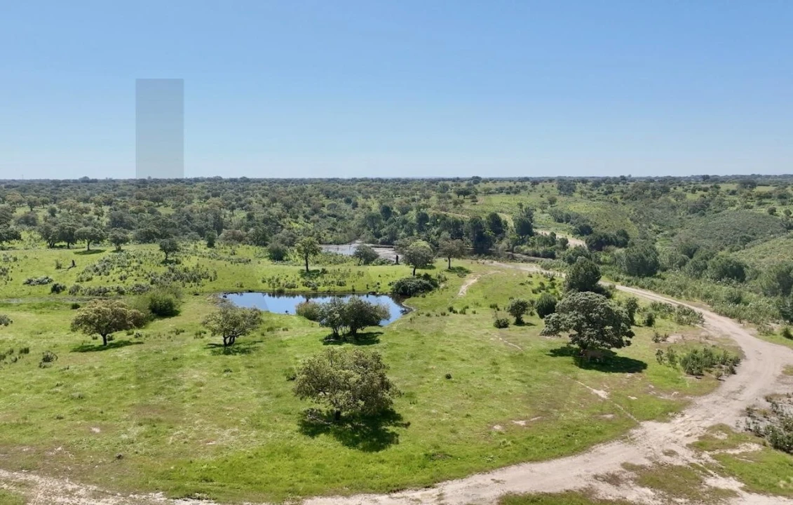 Terreno para Venda em Figueira dos Cavaleiros Foto 8