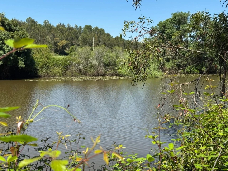 Terreno para Venda em Figueira dos Cavaleiros Foto 1