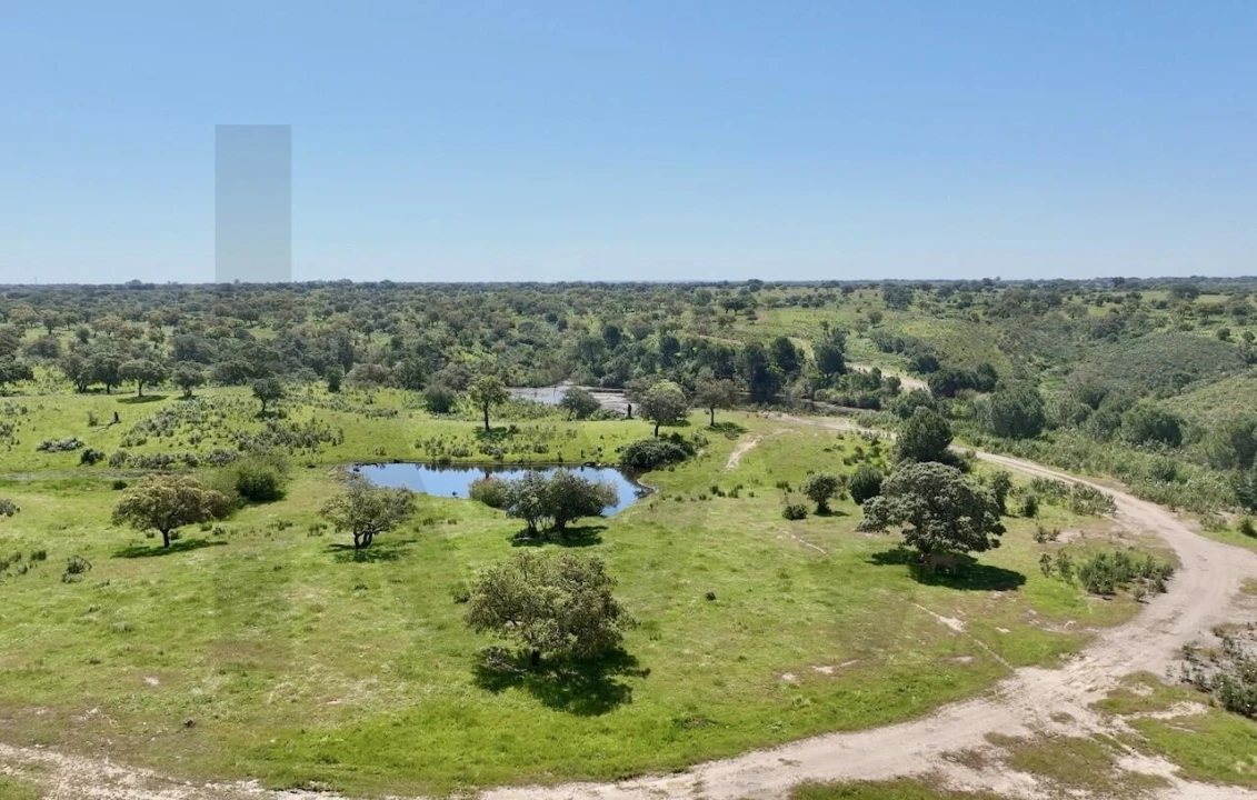Terreno para Venda em Figueira dos Cavaleiros Foto 8
