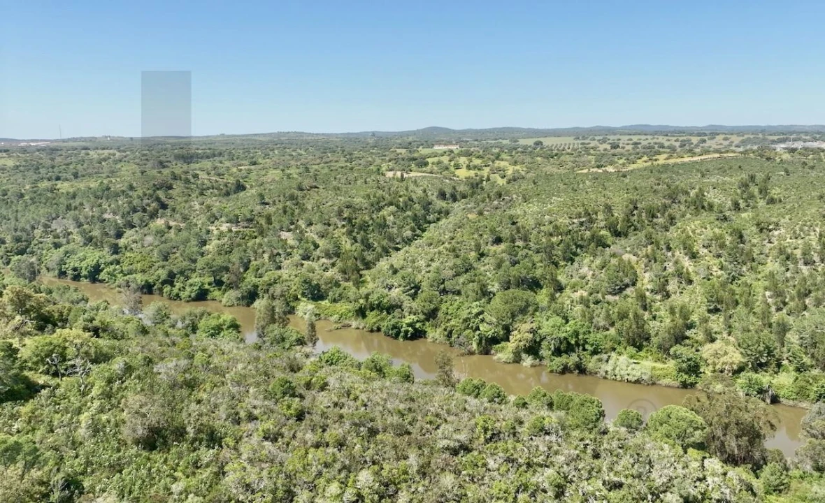 Terreno para Venda em Figueira dos Cavaleiros Foto 14
