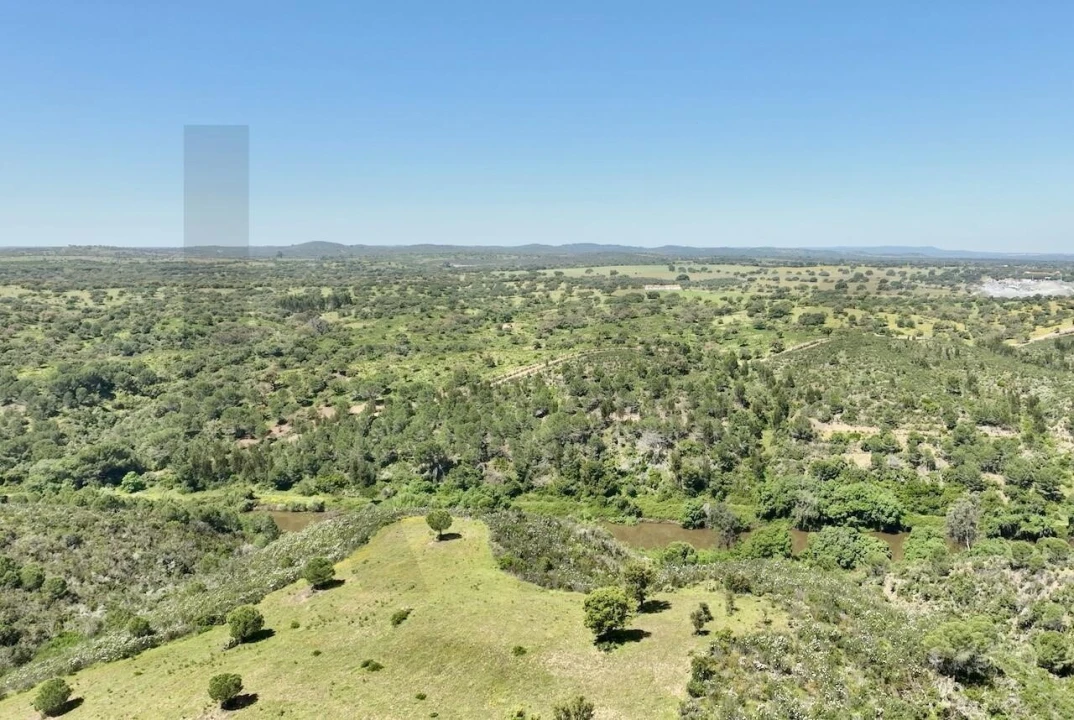 Terreno para Venda em Figueira dos Cavaleiros Foto 15