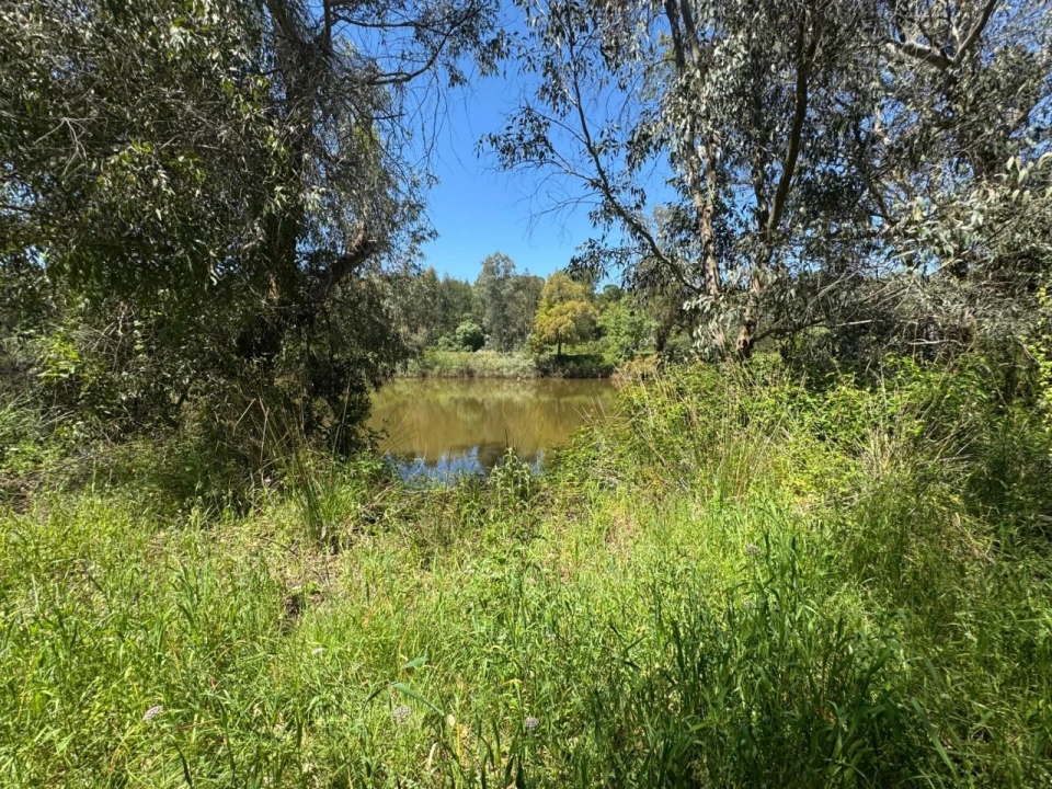 Terreno para Venda em Figueira dos Cavaleiros Foto 27