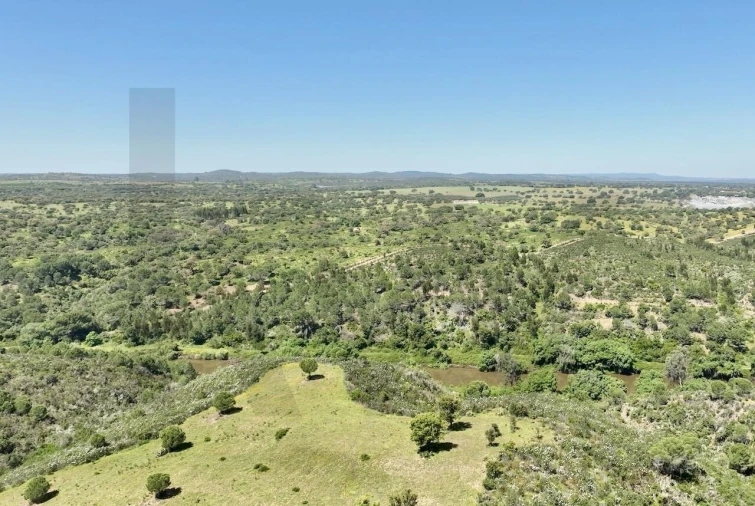 Terreno para Venda em Figueira dos Cavaleiros Foto 15