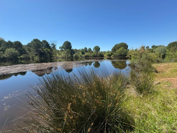 Terreno para Venda em Figueira dos Cavaleiros Foto 24