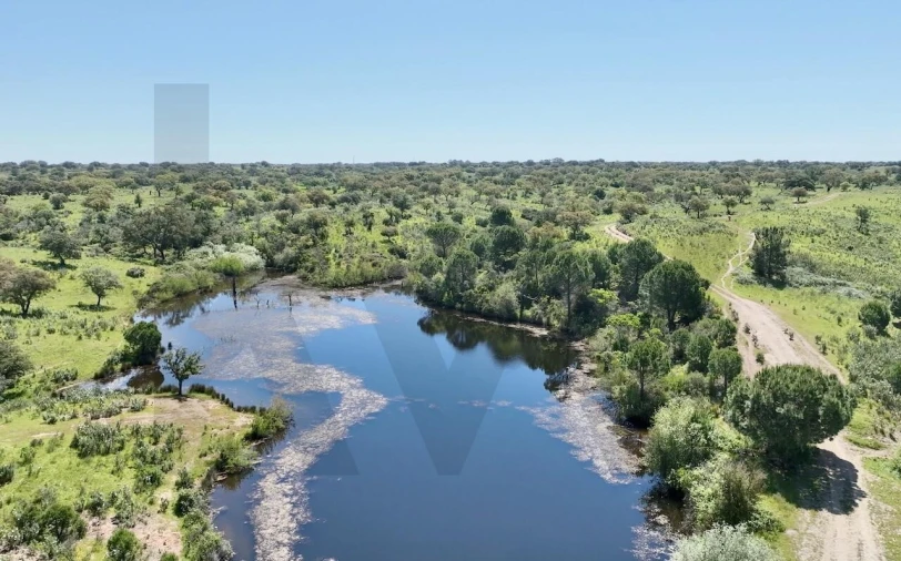 Terreno para Venda em Figueira dos Cavaleiros Foto 4