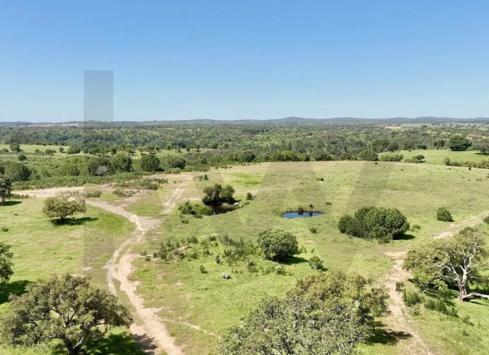 Terreno para Venda em Figueira dos Cavaleiros Foto 9
