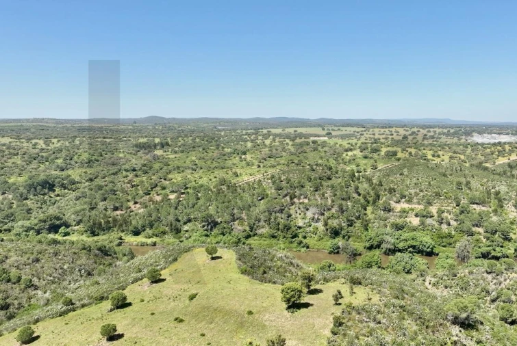 Terreno para Venda em Figueira dos Cavaleiros Foto 15