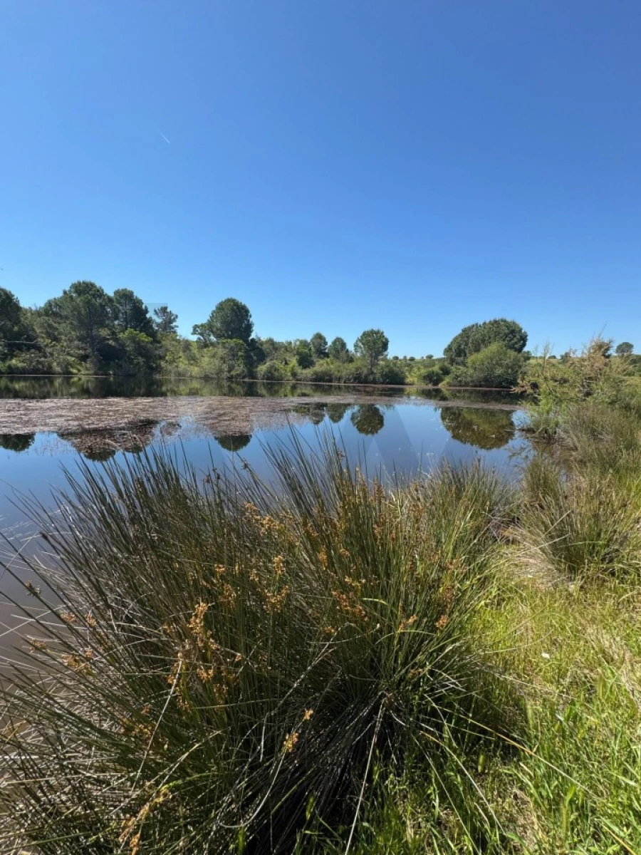 Terreno para Venda em Figueira dos Cavaleiros Foto 25
