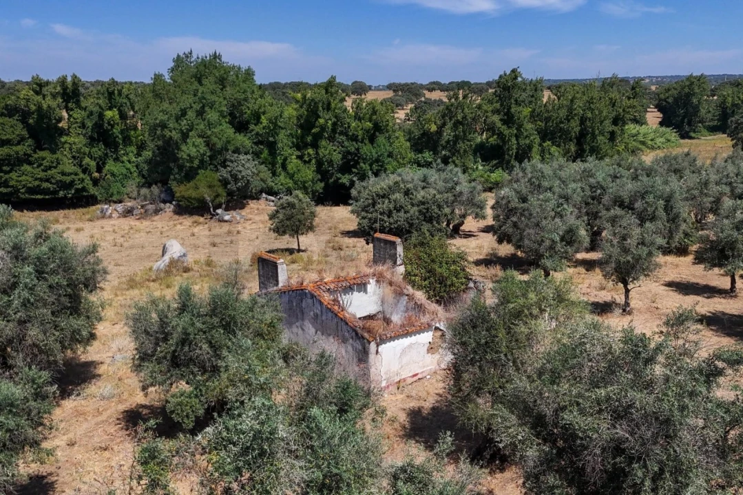 Terreno para Venda em São Cristovão Foto 11