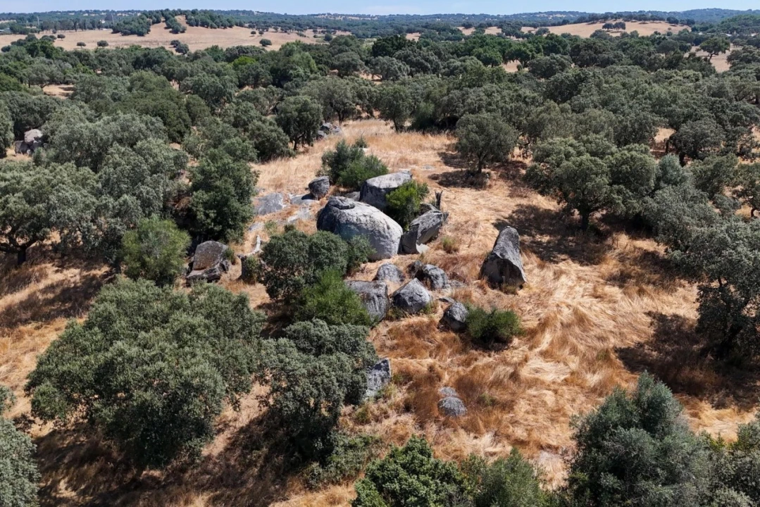 Terreno para Venda em São Cristovão Foto 15