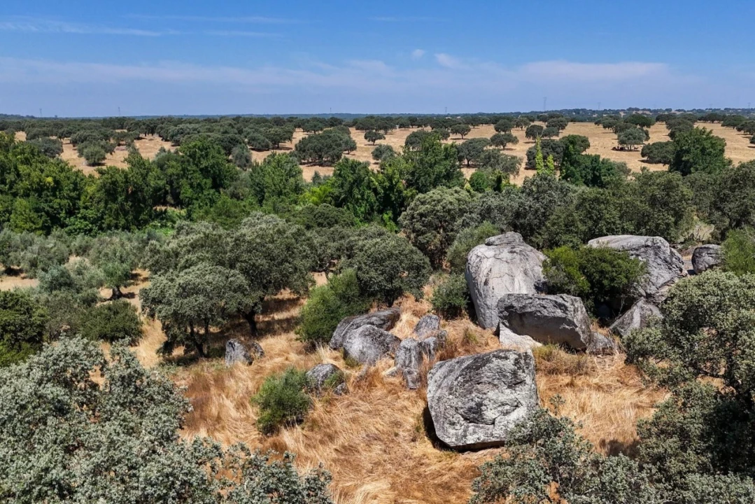 Terreno para Venda em São Cristovão Foto 16