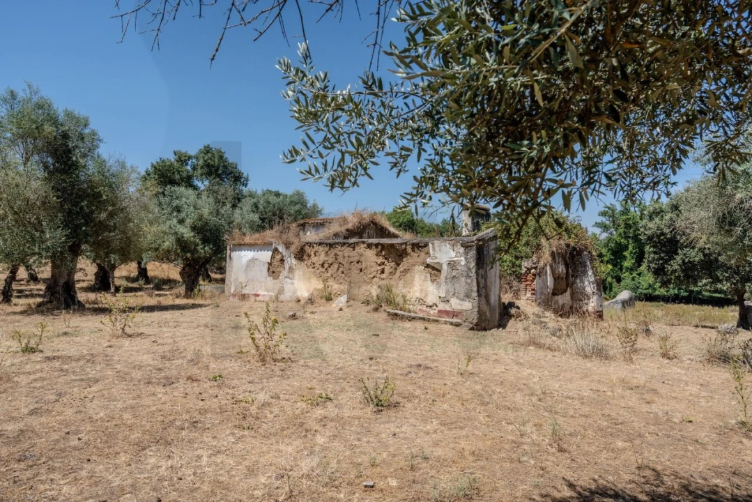 Terreno para Venda em São Cristovão Foto 40