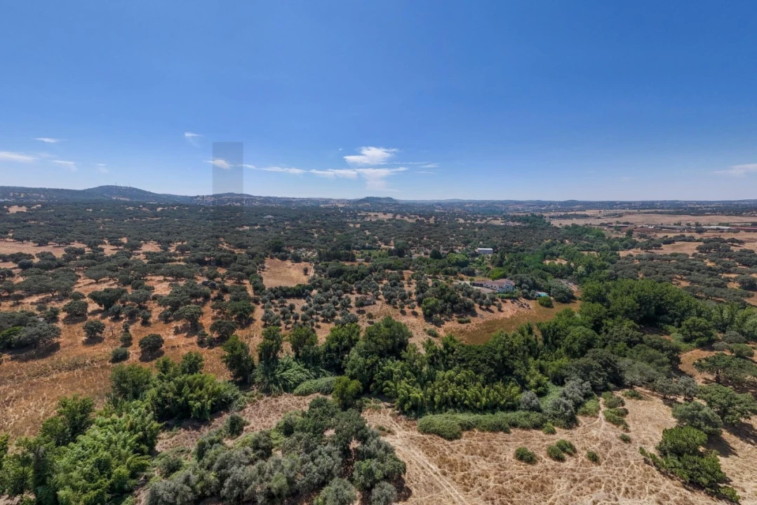 Terreno para Venda em São Cristovão Foto 30