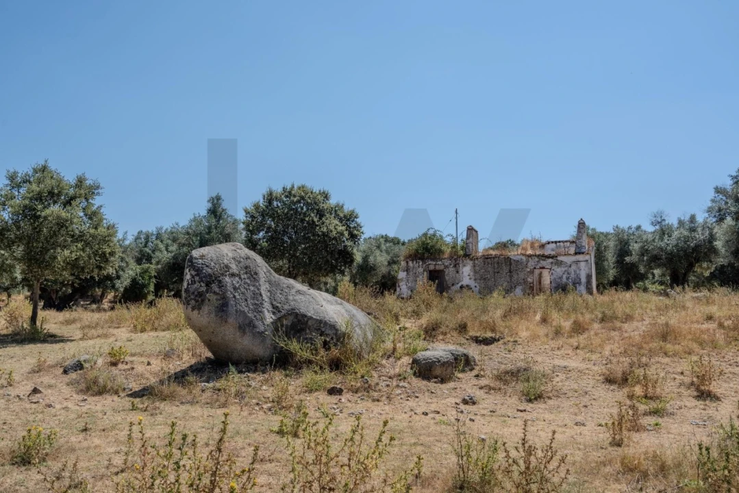 Terreno para Venda em São Cristovão Foto 5