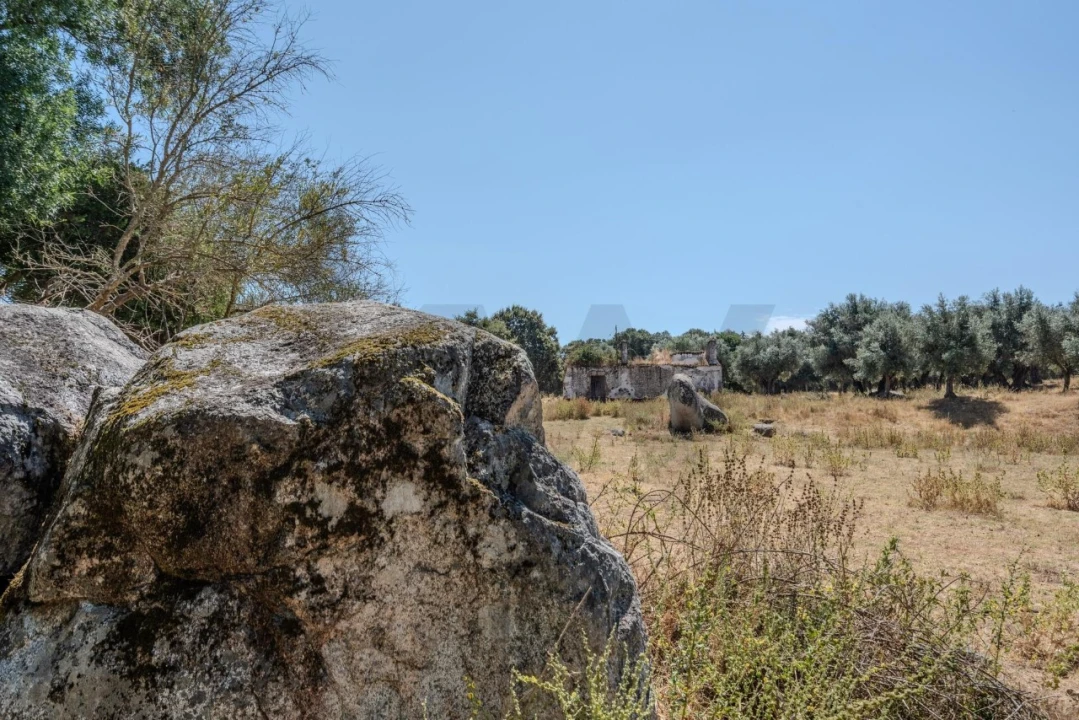 Terreno para Venda em São Cristovão Foto 15