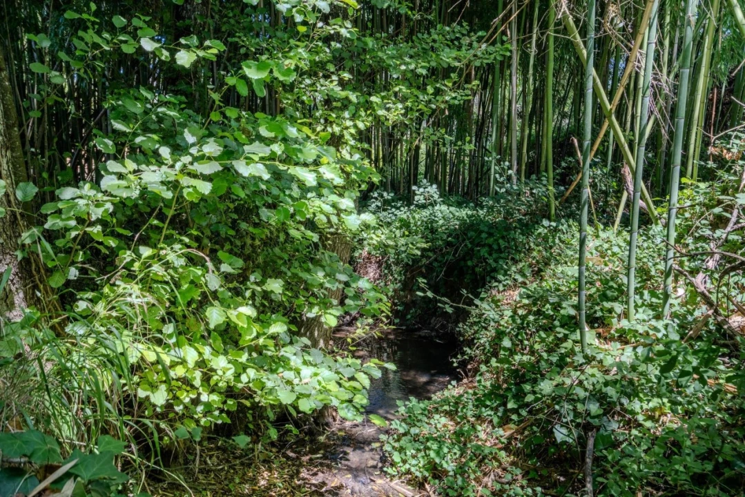 Terreno para Venda em São Cristovão Foto 24