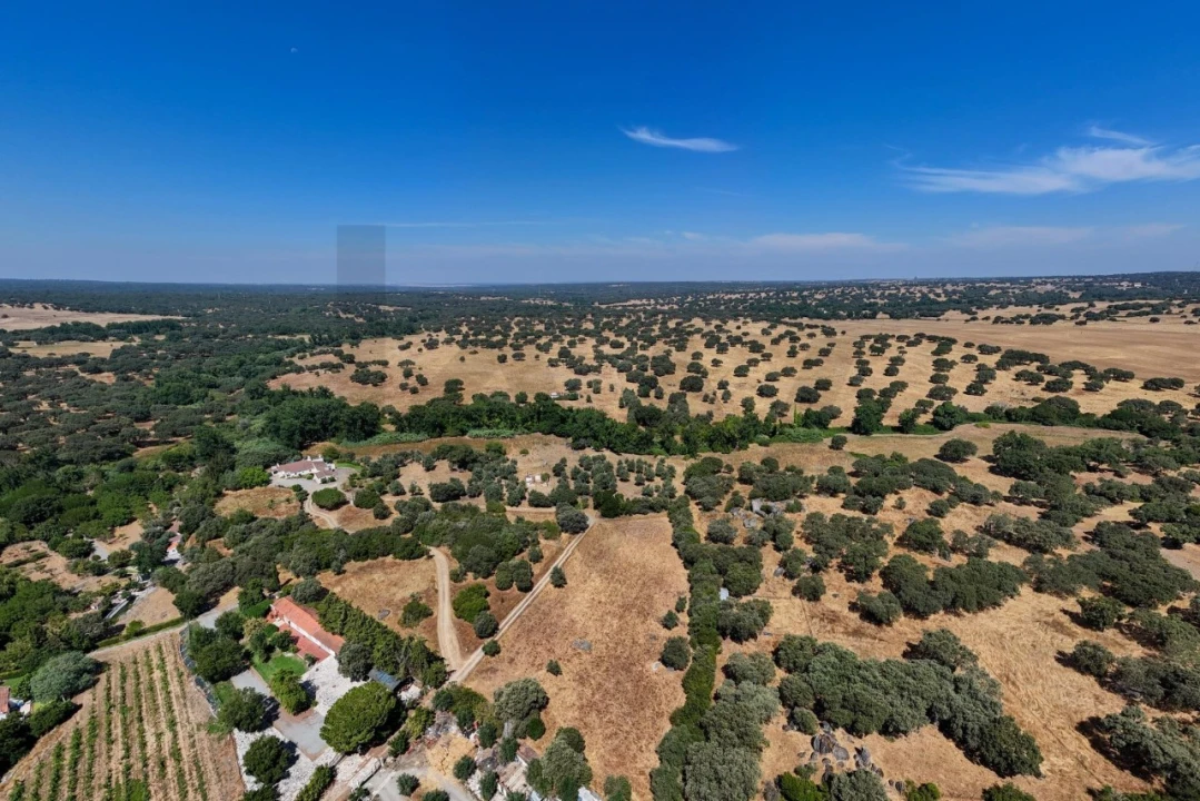 Terreno para Venda em São Cristovão Foto 33