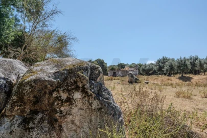 Terreno para Venda em São Cristovão
