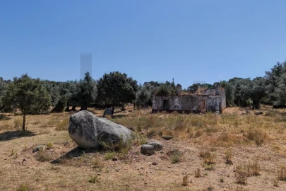 Terreno para Venda em São Cristovão