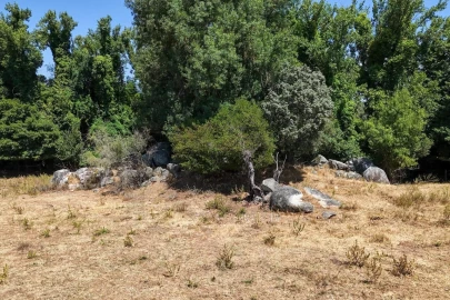 Terreno para Venda em São Cristovão