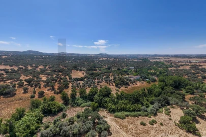 Terreno para Venda em São Cristovão