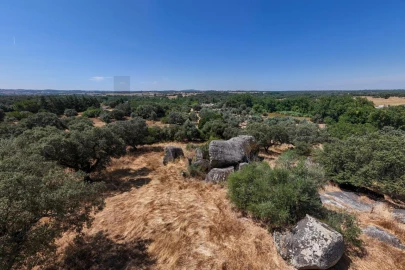 Terreno para Venda em São Cristovão