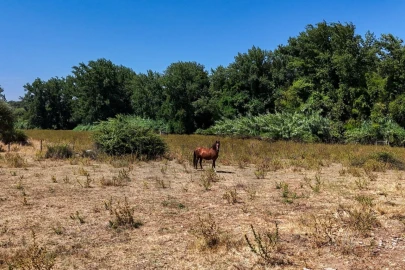 Terreno para Venda em São Cristovão