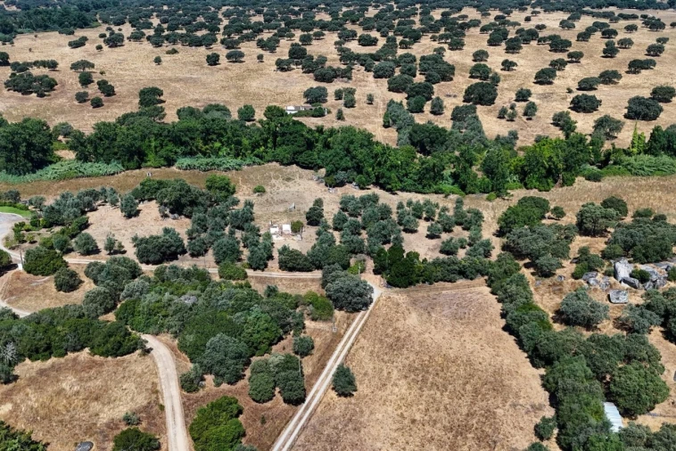 Terreno para Venda em São Cristovão Foto 10