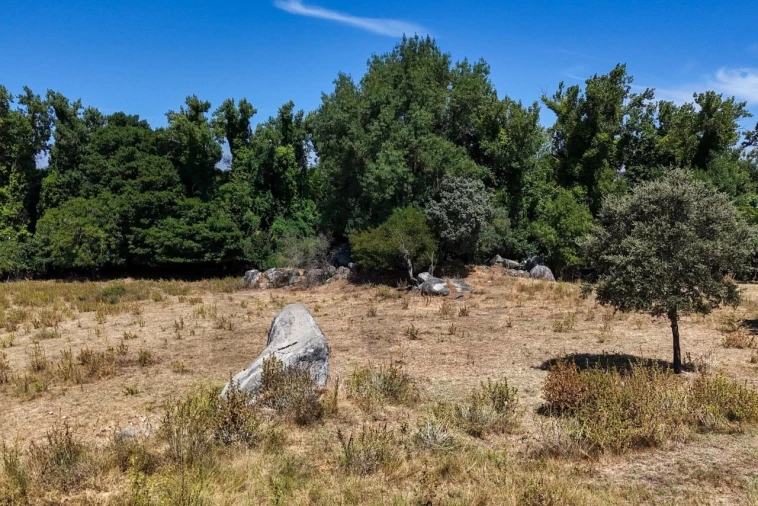 Terreno para Venda em São Cristovão Foto 33