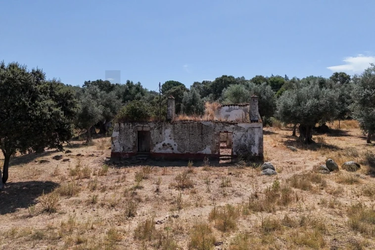 Terreno para Venda em São Cristovão Foto 4